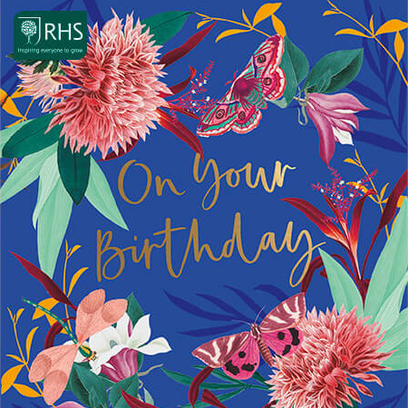 Paper Rose Cards